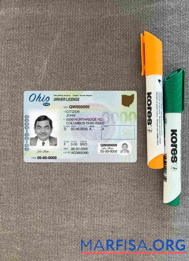 Blank USA Ohio DL photolook real example